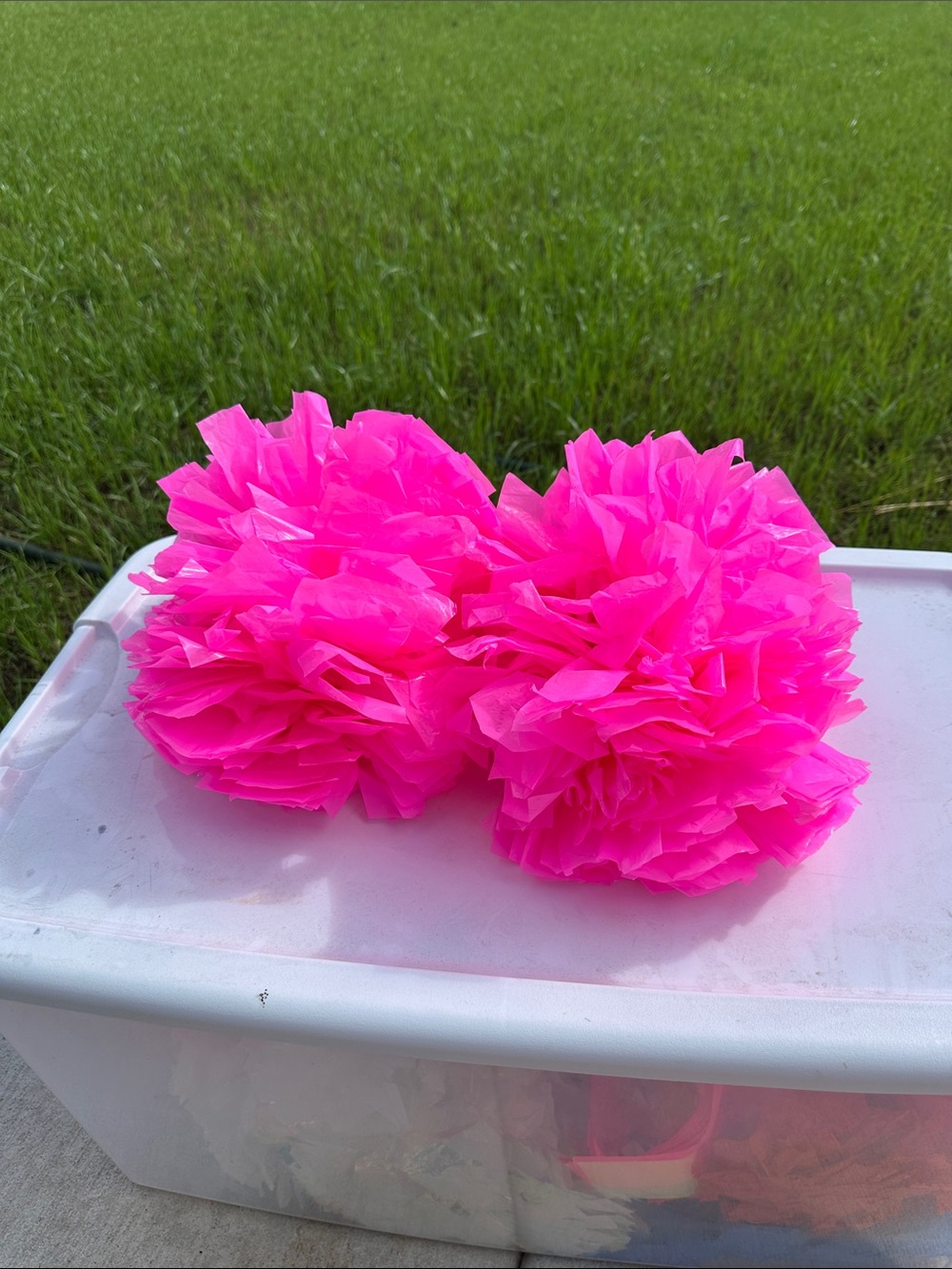 Neon Pink Poms! Set of 2!